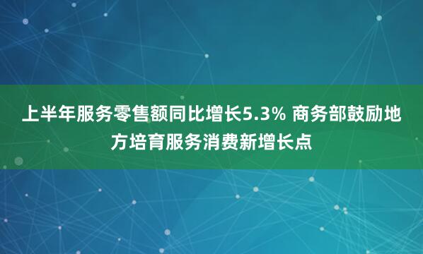 上半年服务零售额同比增长5.3% 商务部鼓励地方培育服务消费新增长点