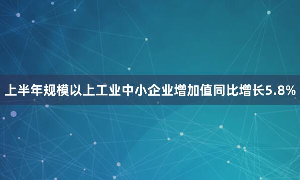 上半年规模以上工业中小企业增加值同比增长5.8%