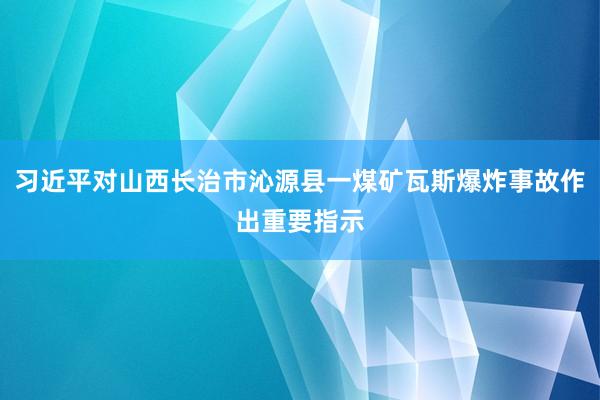 习近平对山西长治市沁源县一煤矿瓦斯爆炸事故作出重要指示