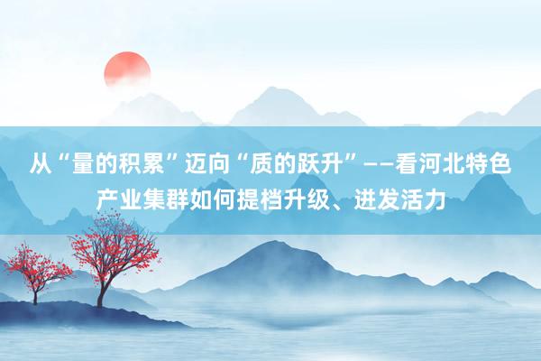 从“量的积累”迈向“质的跃升”——看河北特色产业集群如何提档升级、迸发活力