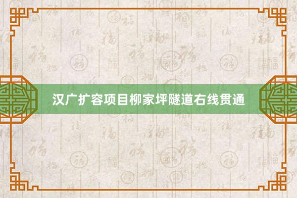 汉广扩容项目柳家坪隧道右线贯通