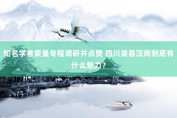知名学者蒙曼专程调研并点赞 四川渠县汉阙到底有什么魅力？