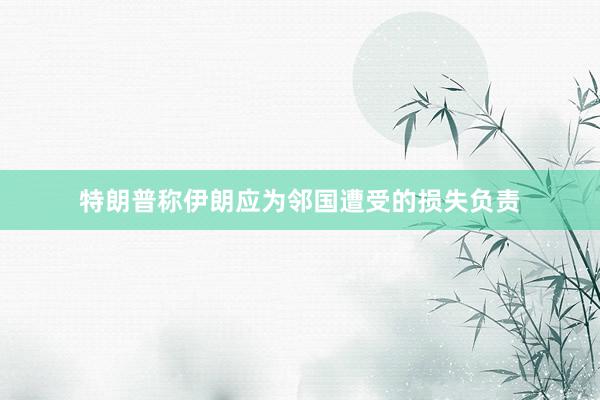 特朗普称伊朗应为邻国遭受的损失负责