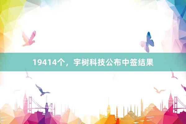 19414个，宇树科技公布中签结果