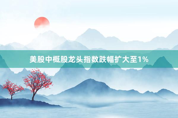美股中概股龙头指数跌幅扩大至1%