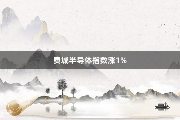 费城半导体指数涨1%
