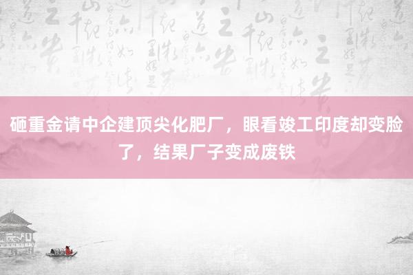 砸重金请中企建顶尖化肥厂，眼看竣工印度却变脸了，结果厂子变成废铁