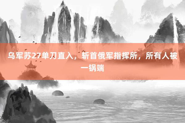 乌军苏27单刀直入，斩首俄军指挥所，所有人被一锅端