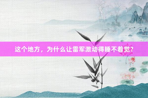 这个地方，为什么让雷军激动得睡不着觉？