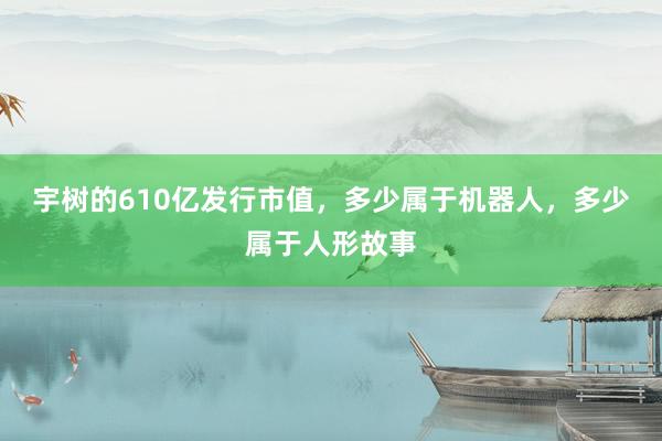 宇树的610亿发行市值，多少属于机器人，多少属于人形故事