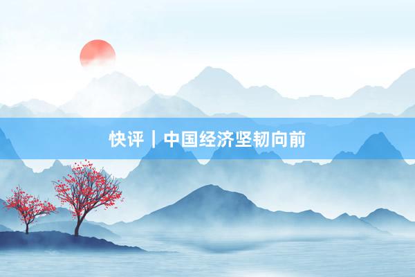 快评｜中国经济坚韧向前