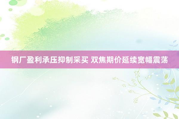 钢厂盈利承压抑制采买 双焦期价延续宽幅震荡
