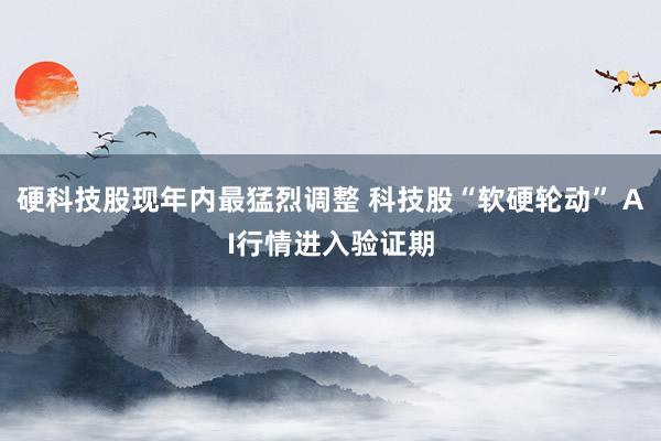 硬科技股现年内最猛烈调整 科技股“软硬轮动” AI行情进入验证期