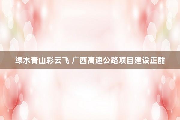 绿水青山彩云飞 广西高速公路项目建设正酣