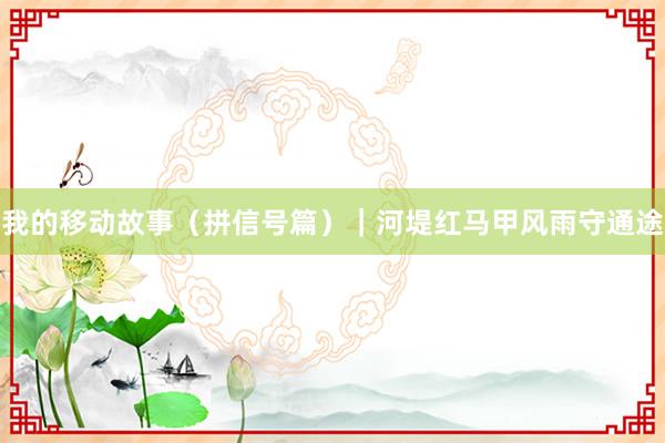 我的移动故事（拼信号篇）｜河堤红马甲风雨守通途