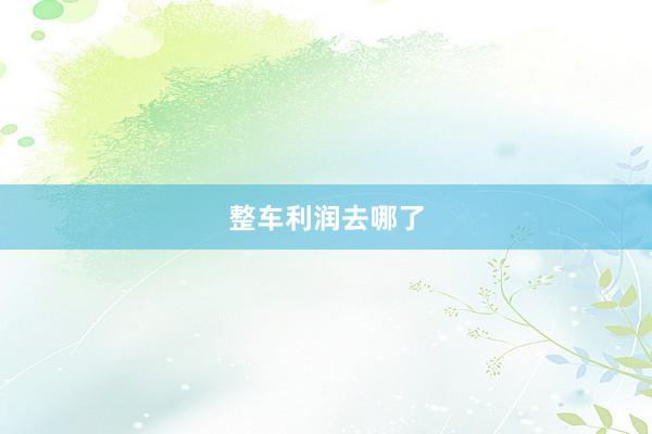 整车利润去哪了