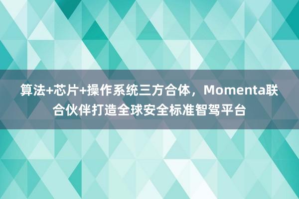 算法+芯片+操作系统三方合体，Momenta联合伙伴打造全球安全标准智驾平台