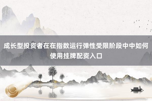 成长型投资者在在指数运行弹性受限阶段中中如何使用挂牌配资入口