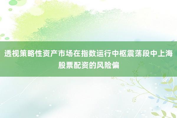 透视策略性资产市场在指数运行中枢震荡段中上海股票配资的风险偏