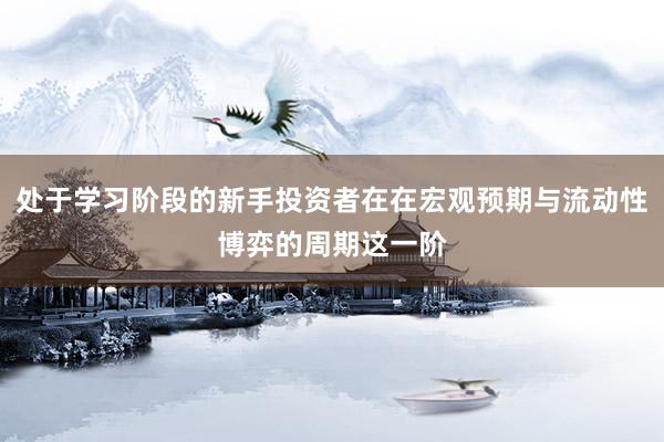 处于学习阶段的新手投资者在在宏观预期与流动性博弈的周期这一阶